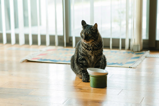 かたむけてねこ茶碗のこだわりと釉薬
