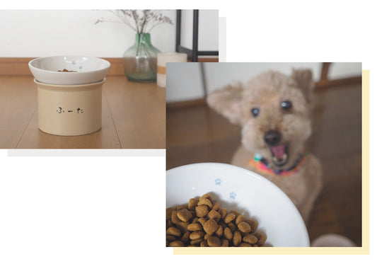 陶磁器製のフードボウルをお探しの方に!名入れだけじゃない小型犬に特化した『かたむけていぬ茶碗』