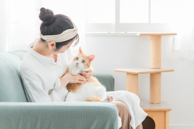 【世界猫の日8月8日】をきっかけに考えたい愛猫のごはん環境！食べやすい食器と「かたむけてねこ茶碗」のこだわ