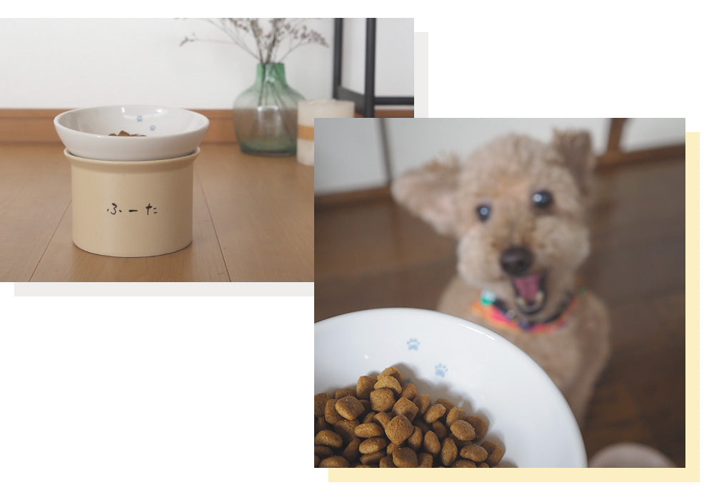 陶磁器製のフードボウルをお探しの方に！名入れだけじゃない小型犬に特化した『かたむけていぬ茶碗』