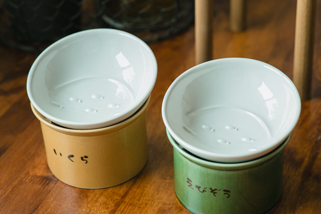 『猫びより』に「かたむけてねこ茶碗」が掲載されました！シニア猫にもおすすめしたい、ずっと使える猫用食器