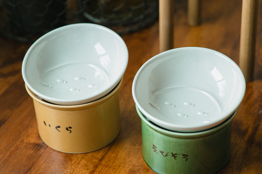 『猫びより』に「かたむけてねこ茶碗」が掲載されました！シニア猫にもおすすめしたい、ずっと使える猫用食器